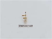 藏品(水稻害蟲)的圖片